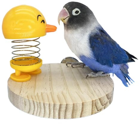 Nybhyjka Vogel-Spielzeug, Vogel-Trainingsspielzeug für Käfig - Vogelspielzeug mit Feder und Standplatte,Zuhause Sittichkäfig Frühlingsspielzeug Dekoration für Wellensittich, Mynah, Nymphensittich