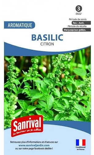Graines Basilic Citron