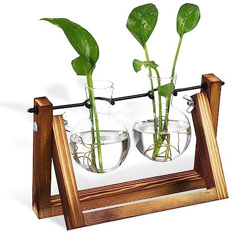 BESPORTBLE Blumentopf Aus Glas Mit Holzständer Blumenvase Pflanzgefäß Für Pflanzenanzucht Und Heimdekoration