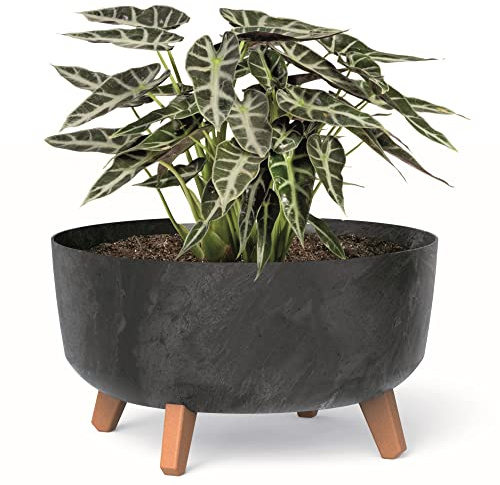 botle Bonsai Schale Baum Mini Garten Blumentopf an den Füßen Pflanzkübel D 38 cm Anthrazit Kunststoff Töpfe mit Einsatz Beton Optik Übertöpfe