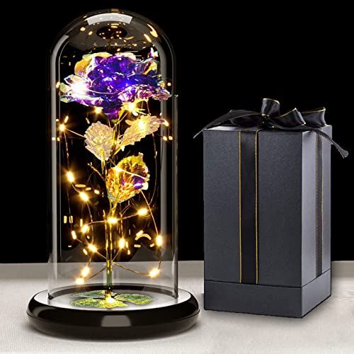Touloube Geschenke Für Frauen Weihnachten Galaxy Rose Blume Geschenk, Infinity Rose in Glaskuppel, LED-Lichterkette auf der Kristallrose, Einzigartiges Geburtstag