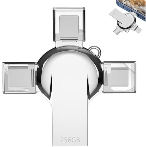 Dhqkqg Cle USB 256 Go, 4 en 1 Clé USB, 256 Go Cle USB, sans App, Cruciforme Entièrement, pour Smartphone avec iOS, Pad, Android, PC, pour Transfert de Photos, Vidéos et Films (Argent)