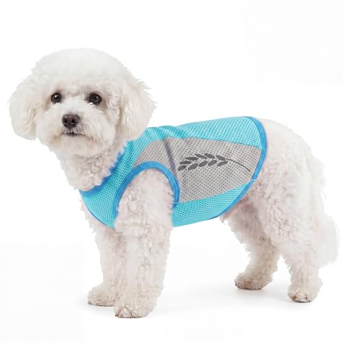Chaleco Refrescante Perros, Ropa Refrescante Perros para Entrenamiento de Caza Y Camping, Alivio Instantáneo del Calor y Prevención del Sobrecalentamiento(Verde, XL)