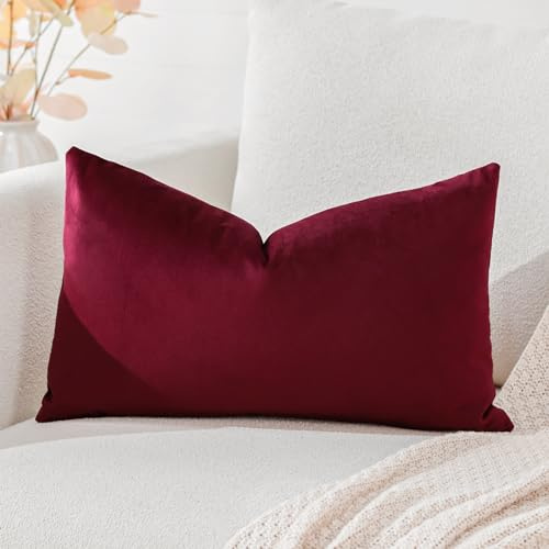 Artscope Samt Kissenbezug Kissenhülle Dekorative Dekokissen Sofakissen Lendenkissen Wurfkissenbezug Sofa Schlafzimmer 40x60cm Rotwein