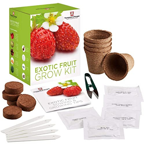 Exotic Fruit Seed Growing Kit Gift Box Grow Your Own Fruit Kit - 5 Flavours to Grow by Thompson & Morgan