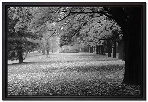 Pixxprint schöner Park im Herbst Leinwandbild 60x40 cm im Bilderahmen, Wandbild, Schattenfugenrahmen, Kein Poster