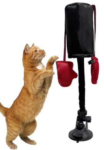 Katzen Boxsack Spielzeug, Punching Bag Spielzeug Für Katzen, Interaktives Boxen Katzenspielzeug Mit Handschuhen Boxsack, Katzenboxsackspielzeug, Katzens-boxspielzeug Für Kitten Geistige Stimulation