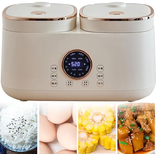 400W Cuociriso Elettrico, capacità 2L+2L, Cuociriso Con Doppio Serbatoio Interno Cuociriso Integrato Piccolo Multifunzione Intelligente A Doppio Controllo, Appuntamento 24H