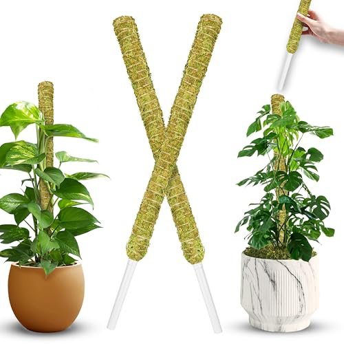DUSPRO Natural Stackable Moss Pole for Plants Monstera, Forest Moss Sticks, Monstera Plant Support, Handmade Plant Stakes for Indoor Plants for Potted Plant to Grow Upward 02 pcs 22''
