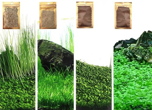 4 in 1 Aquarium Plant S.e.e.ds, no Artificial Plastic Plant, Live Grass for Fish Tank, fit All Substrate (0.36ozTiny+0.36oz Long+0.36oz Short+0.36oz Big Dual) ZQV-003