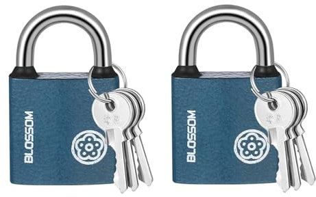 Vorhängeschloss,2 PCS Vorhängeschlösser mit Schlüssel Spindschloss Eisenschloss Wetterfest Vorhängeschloss Sicherheitsschloss Klein Vorhängeschloss für Türen Schuppen Lager Garage Büro Schränke