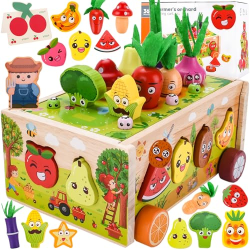 BBWELL Jouet en Bois Montessori,Jouet Bebe 1 an-4 Ans,Jeux Montessori 1 an,Jouet en Bois Jeu De Ferme,Paques Cadeau De Jouets Apprentissage pour Les Bébés Enfants en Bas Âge De 1 2 3 Ans