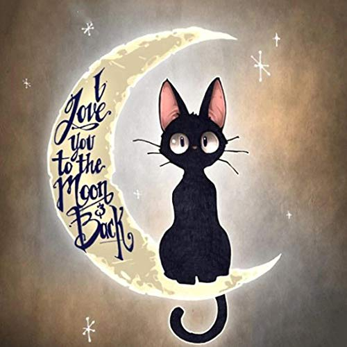 Yingxin34 Puzzles 2000 Teile, Ballon Landschaft Rahmenpuzzle, Puzzle Spiel Geschenk, DIY Puzzle Würfel Katze auf dem Mond Impossible Puzzle, Geschenk Geschicklichkeitsspiel für die Ganze Familie