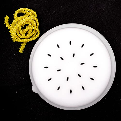 PASTADISC - Linguine Pasta Shape Discs Fit For Philips Automatic Pasta & Noodle Maker, Philips Pasta Maker Attachments, Kitchen Appliances, Accessory Kit (Linguine)
