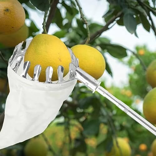 LekLai Obstpflücker, Apfelpflücker, Obstpflückerstange Mit Tasche, Teleskop-Obstfänger-Pflückwerkzeug, Um Unzugängliche Stellen In Obstbäumen Zu Erreichen, 5 M