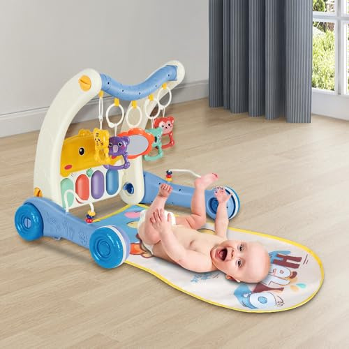 Lauflernhilfe für Babys, 2-in-1, skalierbar, sitzend und stehend, Lauflernhilfe für Babys, Jungen, Mädchen, mitwachsend, 2-in-1, Blau