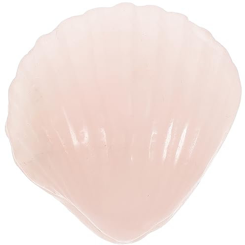 Housoutil Dekoration Für Aquarien Natürliche Muscheln Als Bastelmaterial Für Fischtank Wohnaccessoires Und Stranddekoration Für Kreative Projekte Und Partys