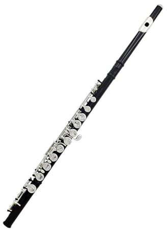 Flöte Für Anfänger 16 Löcher C-Ton-Flöte Mit E-Taste Schwarz Professionelles Holzblasinstrument Geschlossene Taste Cupronickel-Röhrenflöte Anfänger-Set