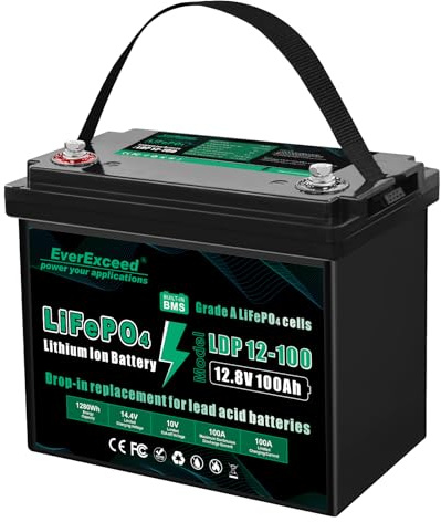 EverExceed 12V 100AH LiFePO4 Batterie mit Integriertem 100A BMS, 1280Wh Lithium Batterie mit Niedrigtemperaturschutz, ideal für Yachten, Boote, Wohnmobile und die Energieversorgung zu Hause
