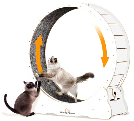 Homegroove XXL Katzenlaufrad, 52/132 cm großes Katzenrad, Massivholz-Laufband für Katzen mit integrierter Sicherheitsverriegelung, wirbelsäulenschonendes Design für große Hauskatzen(Weiß, XXL)