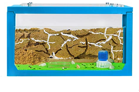 AntHouse - Fattoria di formiche di sabbia naturale | Starter set 3D 20x10x10 cm blu | Comprese le formiche
