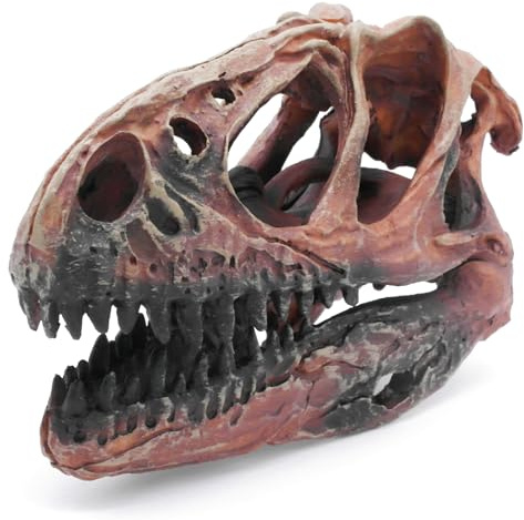 Kocris Casa Nascondiglio per pesci, decorazione per acquario, decorazione di dinosauro, teschio di dinosauro, acquario, decorazione per grotta, dinosauro, teschio, betta, animali, Halloween, tarantola