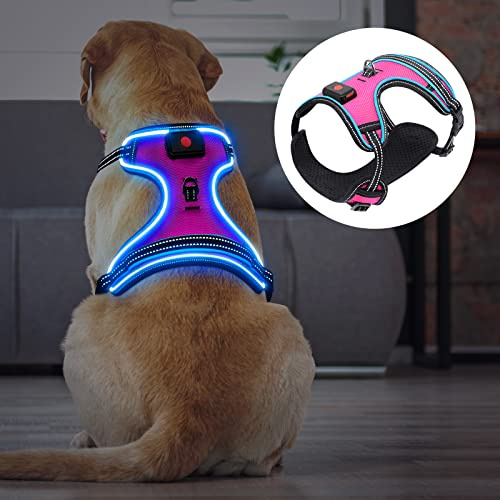 Ezierfy Leuchtendes Hundegeschirr, wiederaufladbares LED-Hundegeschirr, reflektierende Hundeweste, Anti-Zug-Haustiergeschirr für Hunde, die nachts spazieren gehen (Rosa und Blaues Licht, M)