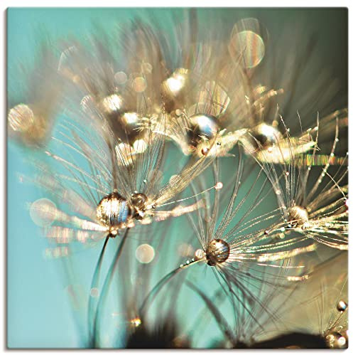 ARTLAND Wanddeko Leinwand Bilder Wandbild 40 x 40 cm Innere Ruhe Wellness Natur Pflanzen Blumen Pusteblume Regen Tau Tropfen Gold Sonnenaufgang S9LP