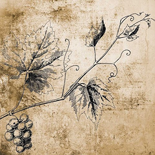 Kunstdruck auf Holz gespannt, Bars, Weinrebe, Braun, Victoria, Küche, quadratisches Bild, Weinspritze, botanischer Vintage-Retro-Küche, Kunstdruck, 17,8 x 17,8 cm