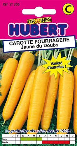Graines de Carotte Fourragère Jaune du Doubs - 6 grammes