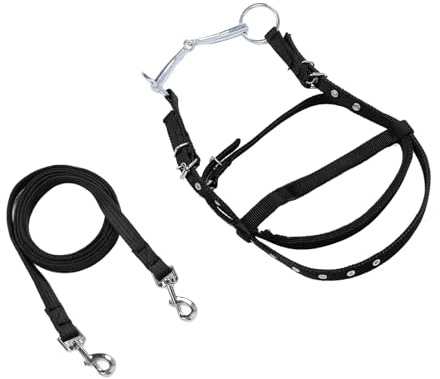 Zunate Rênes de Bride de Cheval en Nylon Réglables |Étrier d'équitation pour Poneys de Moins de 1, de Hauteur d'épaule, Noir S, Rênes Latérales Durables, Aide à l'entraînement