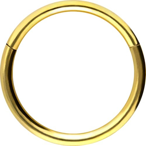 PIERCINGLINE Segmentring Clicker Titan Piercing Nase Septum Ohr Helix Lobe Tragus Goldfarben 0,8 x 6 mm
