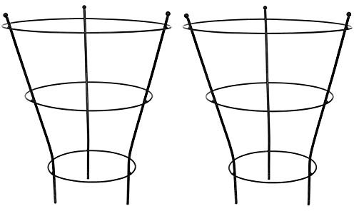 RUDDINGS WOOD Set of 2 x Large Black Metal Garden Peony Herbaceous Plant Supports Cage Frame Rings 51cm high x 40cm diameter