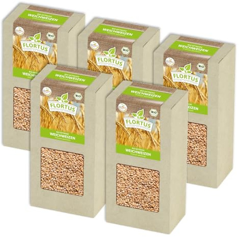 FLORTUS BIO Weichweizen Getreide Samen 1kg | Ertragreicher Weizen zur Herstellung von Mehl Weizenkleie Katzengras & Microgreens | Sprossen Samen