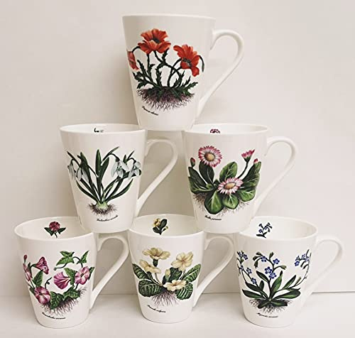 Lot de 6 tasses en porcelaine fine motif fleurs botaniques 400 ml