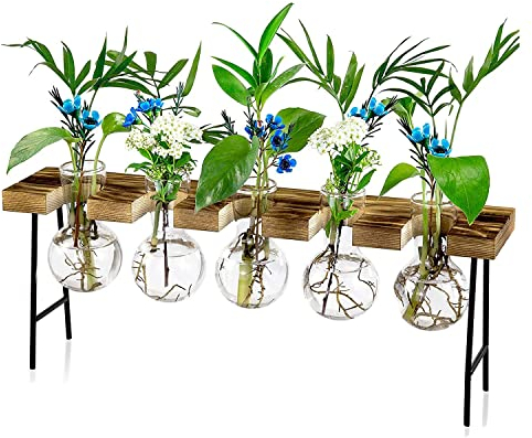 Herklotzn Pflanzenterrarium Glas, mit Holzständer, für Pflanzen, Terrarium, Pflanzgefäß, Glasvase mit Holzständer