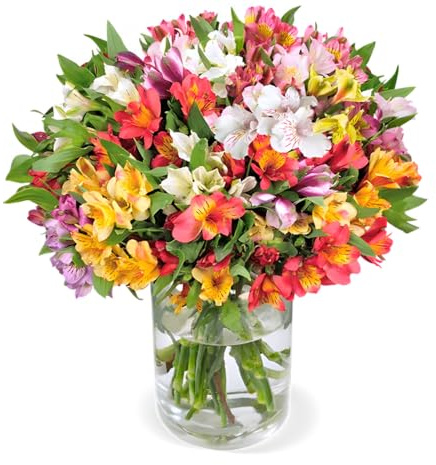 Blume Ideal Blumenstrauß | 20 Inkalilien | Ø 40–50 cm | Echte Inkalilien für Geburtstag & Deko | 7 Tage Frischegarantie | In verschiedenen Farben und Mengen
