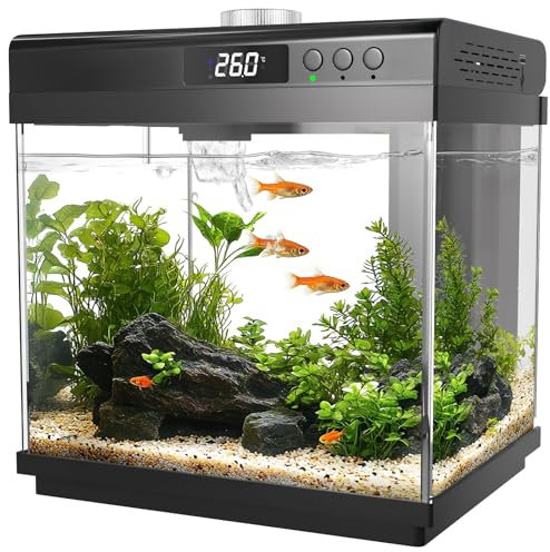 AQQA Aquarium-Starter-Set, 14 l, aus Glas, mit Filter und LED-Licht, 10 Farben, verstellbar, selbstreinigend, Nano, für Tropical Fish Betta