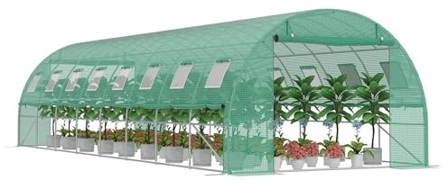 XMTECH Invernadero de 3 x 8 m (24 m²) – Invernadero de jardín con 16 ventanas, resistente a los rayos UV, marco de acero galvanizado, mosquitera, ideal para verduras, tomates, flores, casa de tomate