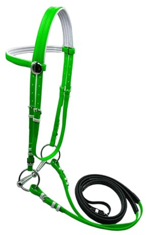 Perfeclan Brida para Caballo con riendas, Cabestro, Ecuestre Ajustable, Correa para, Cuerda para guiar Caballos para Entrenamiento de Clubes, 125mm