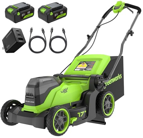 Greenworks 48V (24V x 2) Cortacésped de batería 41cm Ancho Corte hasta 440m² 40L recogedor de Hierba 6 Veces Ajuste Altura Corte Central 30-80mm Incluye batería de 4Ah y cargador-MO48L422-01