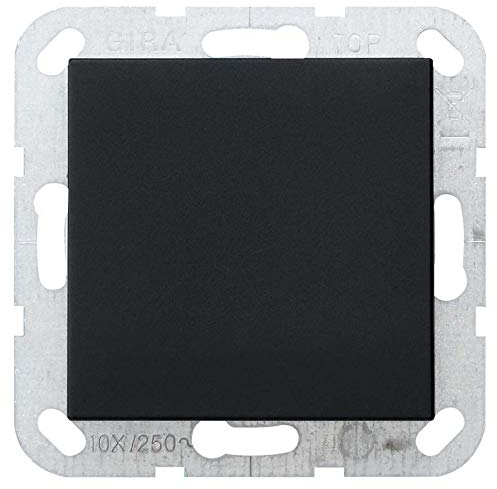 GIRA Blindabdeckung 0268005