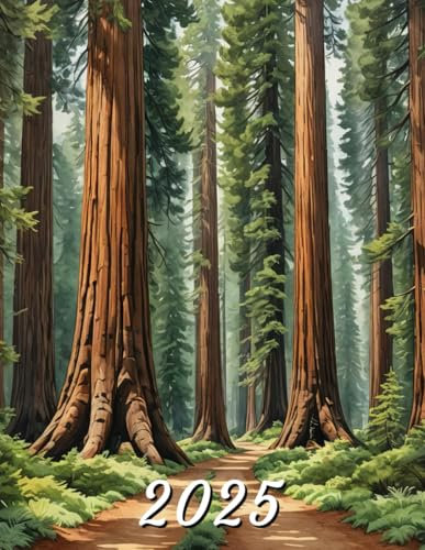 2025: Monthly Calendar Planner with a Path Through Sequoia Trees