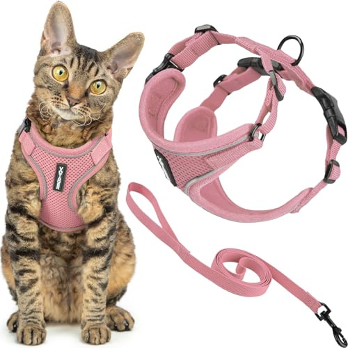 Best Pet Supplies Voyager-Set, ausbruchsicheres Katzengeschirr mit 1,5 m Langer Leine, reflektierende Nähte, Neoprengriff, für kleine, mittelgroße und große Katzen, Pink, Größe M (Brustumfang: 41,9