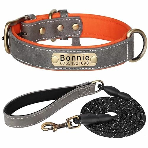 SEOUGEE Hundehalsband aus echtem Leder, personalisierbar und Leine, weich gepolstert, strapazierfähig, mit individuellem Namensschild für kleine, mittelgroße und große Hunde (M, Grau, Set 28–37 cm)