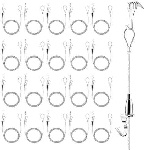 Ganci per Quadri, Appendi Quadri Set da 20 Pezzi con Gancio di Tracciamento Fune Metallica da 2 m x Ø1,5 mm e Ganci Regolabili Cavo per Appendere Quadro con Capacità di Carico di 40 kg