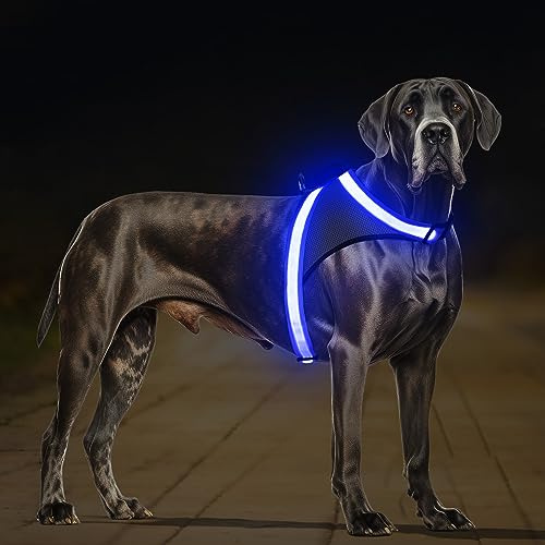 ChalkLit LED Leuchtendes Hundegeschirr USB Wiederaufladbares Vollständig Beleuchtetes Hundegeschirr Leuchtet Im Dunkeln für Nachtspaziergänge Sicherheitsweste, mittelgroße große Hunde(Blau, XL)