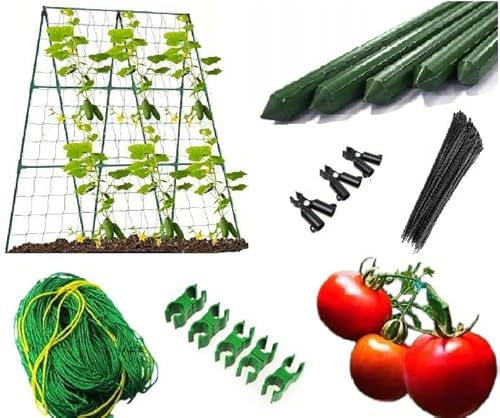 DIXIE STORE - Tomaten und Gurken Rankhilfe - Rankgitter - 150x150 cm - mit Schutznetz - für Anbau von Klettergemüse im Garten und Gewächshaus - Pflanzenstütze, Gartenzubehör