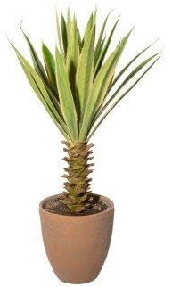 artplants.de Agave furcraea gigantea artificiale SININ, verde-crema, 75 cm