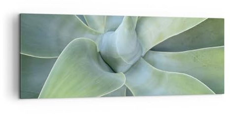 Quadro su Tela Succulento Agave Botanica Stampe da Parete 140x50cm Quadri Moderni Soggiorno Camera da Letto Cucina 1 pezzo Grandi XXL Decorazione Murale Wall Art Canvas Grafica Immagini AB140x50-5451